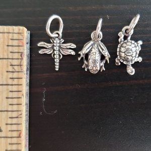 Sterling Silver Dragonfly, Turtle, and Frog Charms